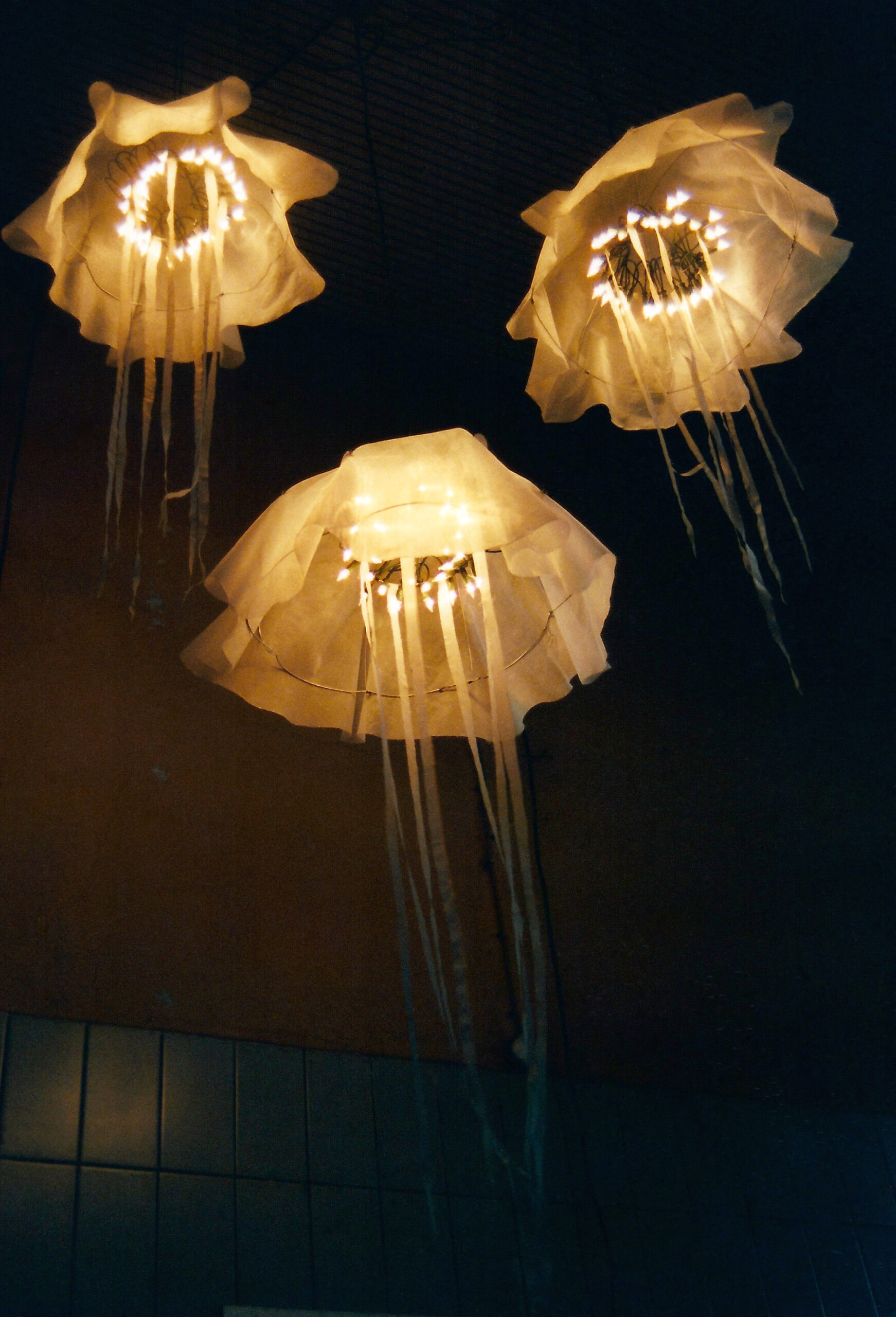 Jelly Fish light , Helena Kaori Maeda
